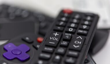 Ode to the remote control, that tiny box that lets you channel your desires without ever getting up
