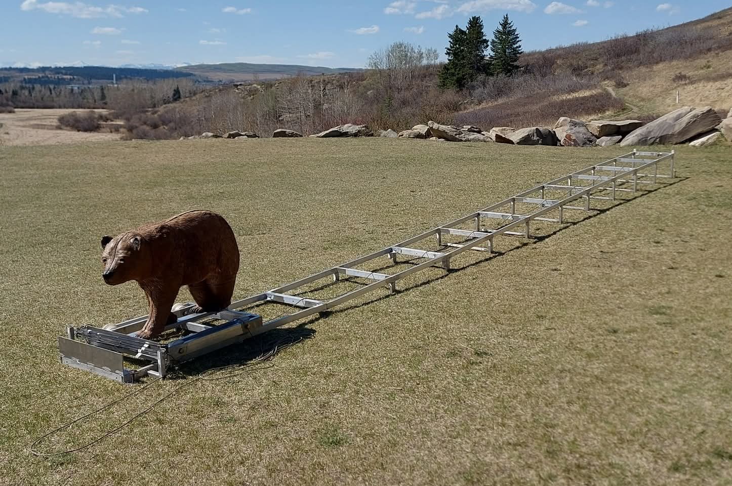 Bear simulator to put spray skills to the test on Saturday