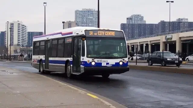 brampton bus
