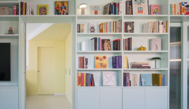 colored rooms and continuous bookcase reshape a madrid apartment