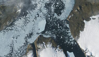 Ice Island Survives Run-In With Joe Island