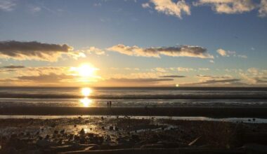 THROUGH YOUR LENS: Sunsets and butterflies and whales – oh my!