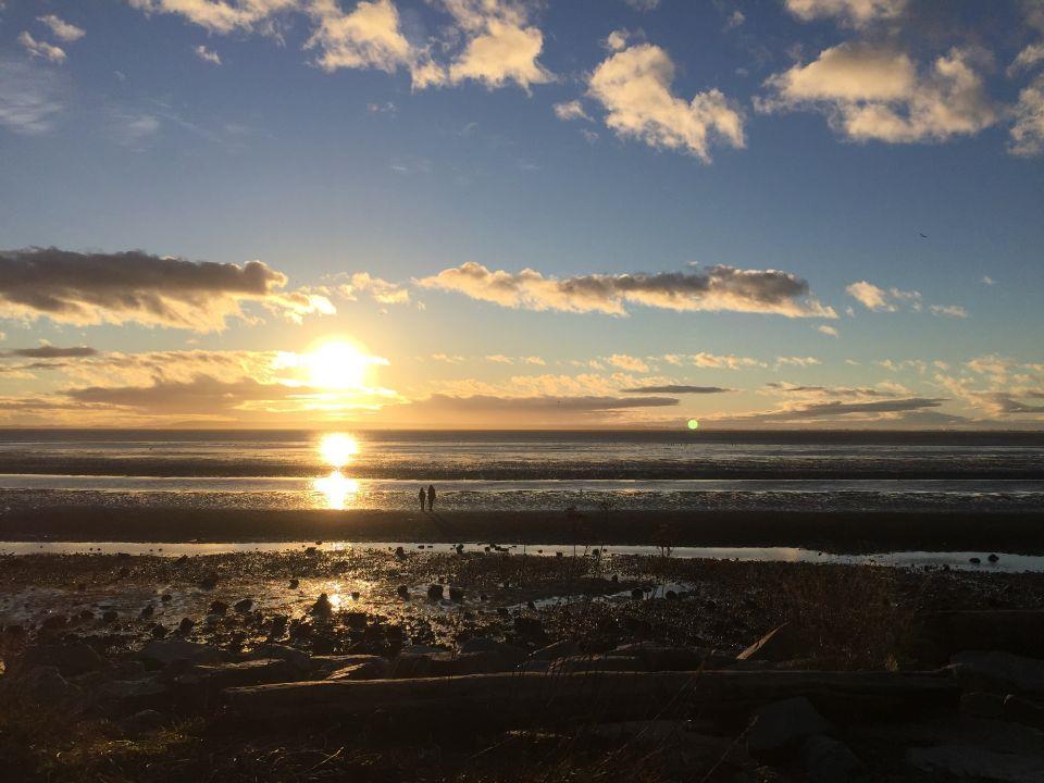 THROUGH YOUR LENS: Sunsets and butterflies and whales – oh my!