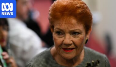 One Nation pushes for early super access for Australians paying rent or mortgage