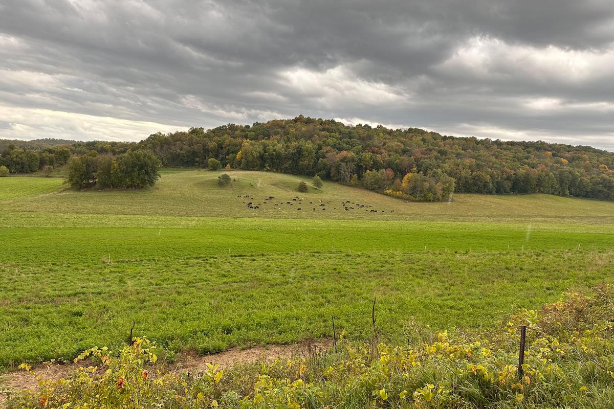 A prairie enthusiast in search of a farming land ethic