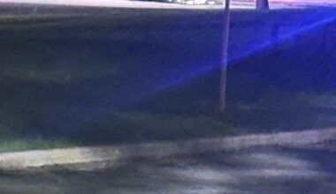 2 bodies found in 2 vehicles set on fire in Scarborough and Etobicoke