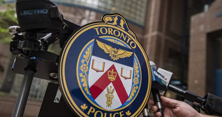 Toronto police seize 2 dogs over attack beside off-leash area - Toronto