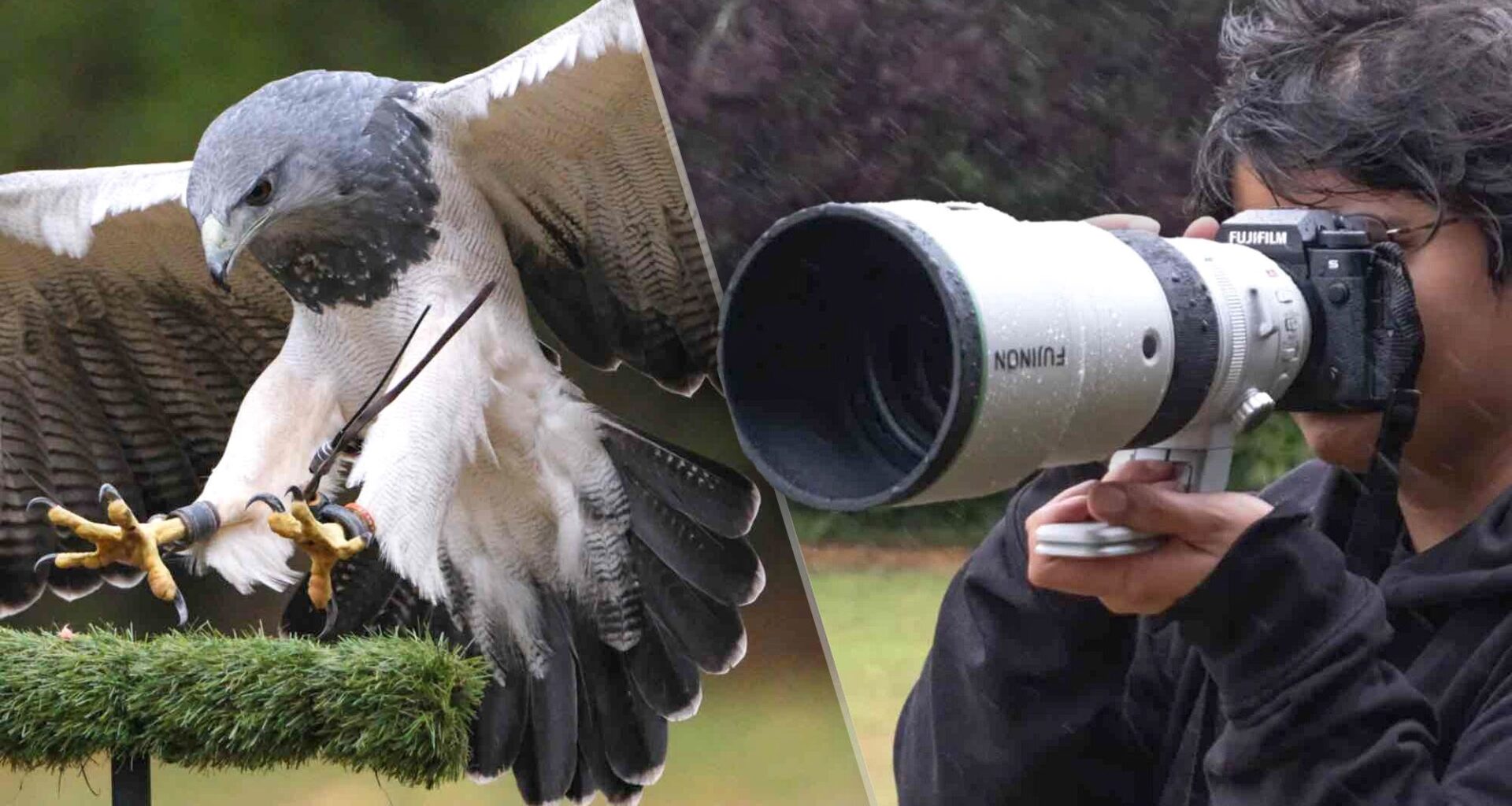 I photographed falcons, eagles and owls with the new Fujifilm 400mm telephoto lens, and Fuji should take my money already