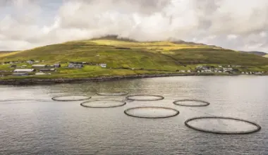 An aerial shot of a salmon farm in Scotland.