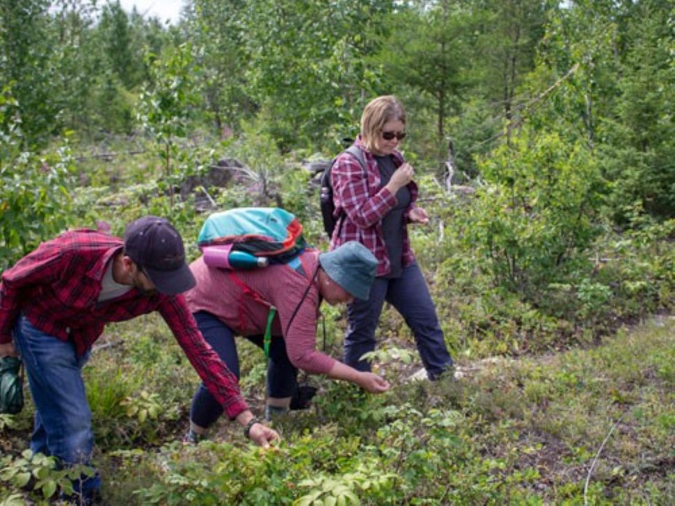 Free entry to Manitoba provincial parks this Labour Day weekend
