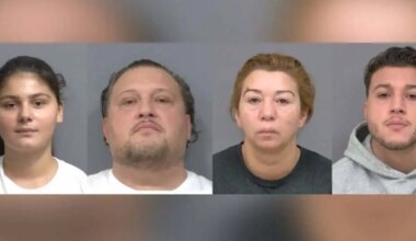 Brampton home searched after retail theft investigation begins in Mississauga