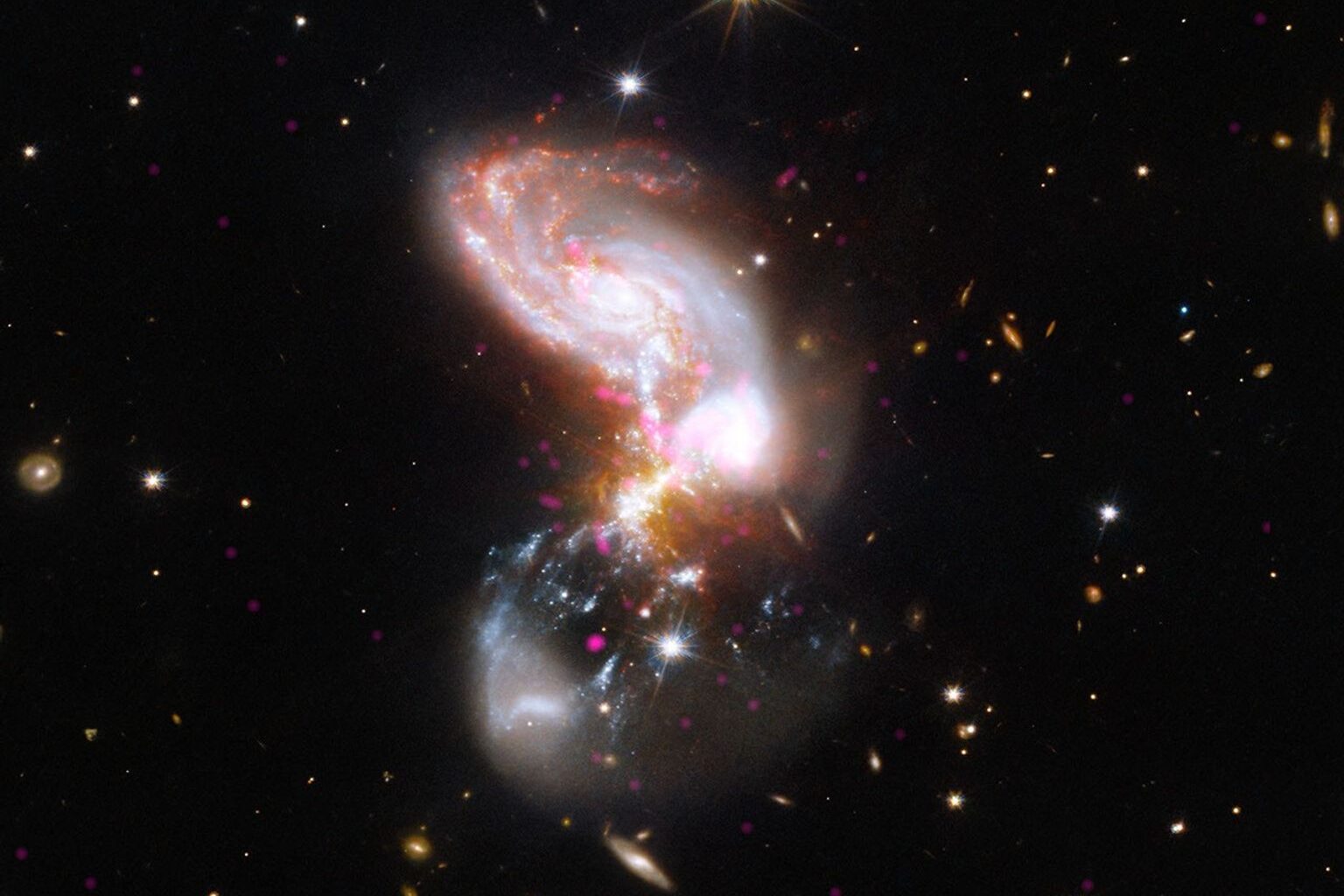 In this system, two galaxies are merging at a furious rate. Near the top of the image is a spiral galaxy shape with thick arms in fiery oranges, whites, and reds. At the bottom of the image is a faint hazy bowl shape marbled with grainy white ribbons and hot pink specks. Where the two shapes collide, in the center of the frame, the galaxy appears utterly chaotic, like a firework.