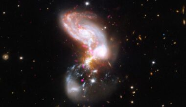 In this system, two galaxies are merging at a furious rate. Near the top of the image is a spiral galaxy shape with thick arms in fiery oranges, whites, and reds. At the bottom of the image is a faint hazy bowl shape marbled with grainy white ribbons and hot pink specks. Where the two shapes collide, in the center of the frame, the galaxy appears utterly chaotic, like a firework.