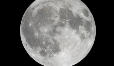 The Moon’s planned first spaceport will have no runways, taxiways or gate announcements—NASA’s Gateway will follow an invisible orbit sculpted by the gravity of Earth and the Moon, and engineers have now published the first detailed strategies for keeping visiting spacecraft safely separated while they wait to dock.