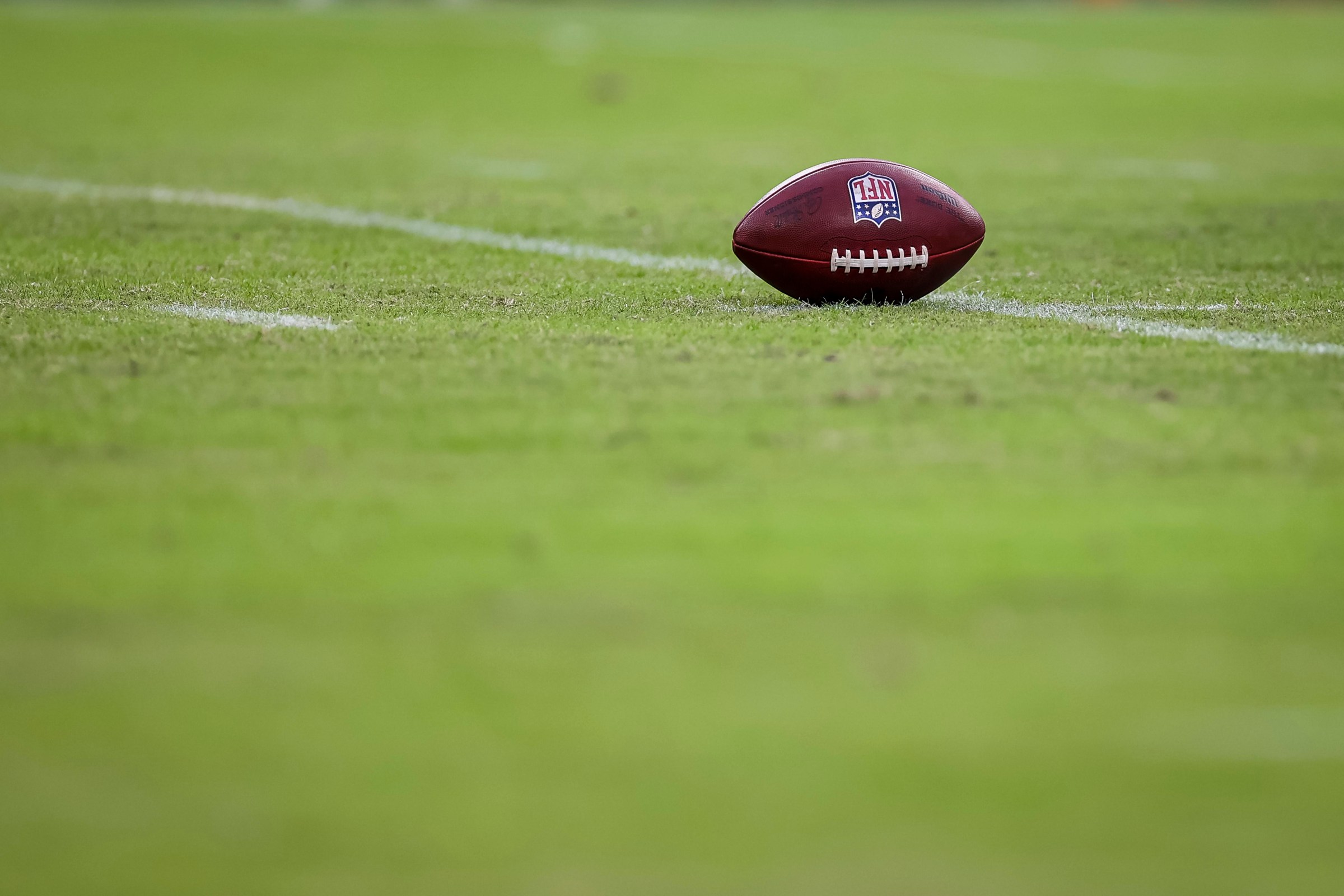 Minnesota Vikings v Baltimore Ravens