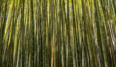 Open Thread, September 19, 2026: Where is your happy place?