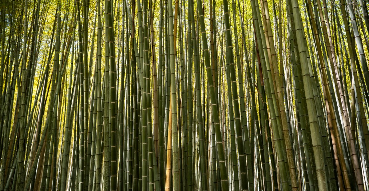 Open Thread, September 19, 2026: Where is your happy place?