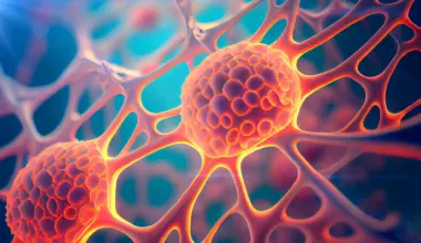 Scientists discover an “impossible” cellular survival pathway that could help fight cancer
