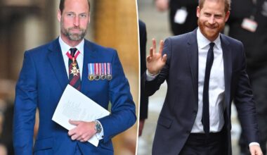 Prince Harry's UK movie plans revealed — and why Prince William is furious: report