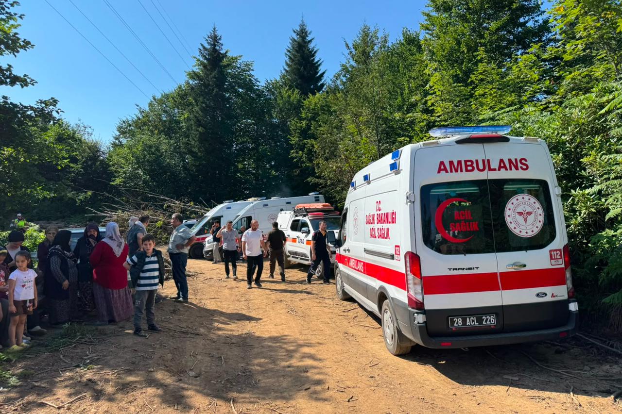 Helicopter reportedly crashes during power line work in Türkiye