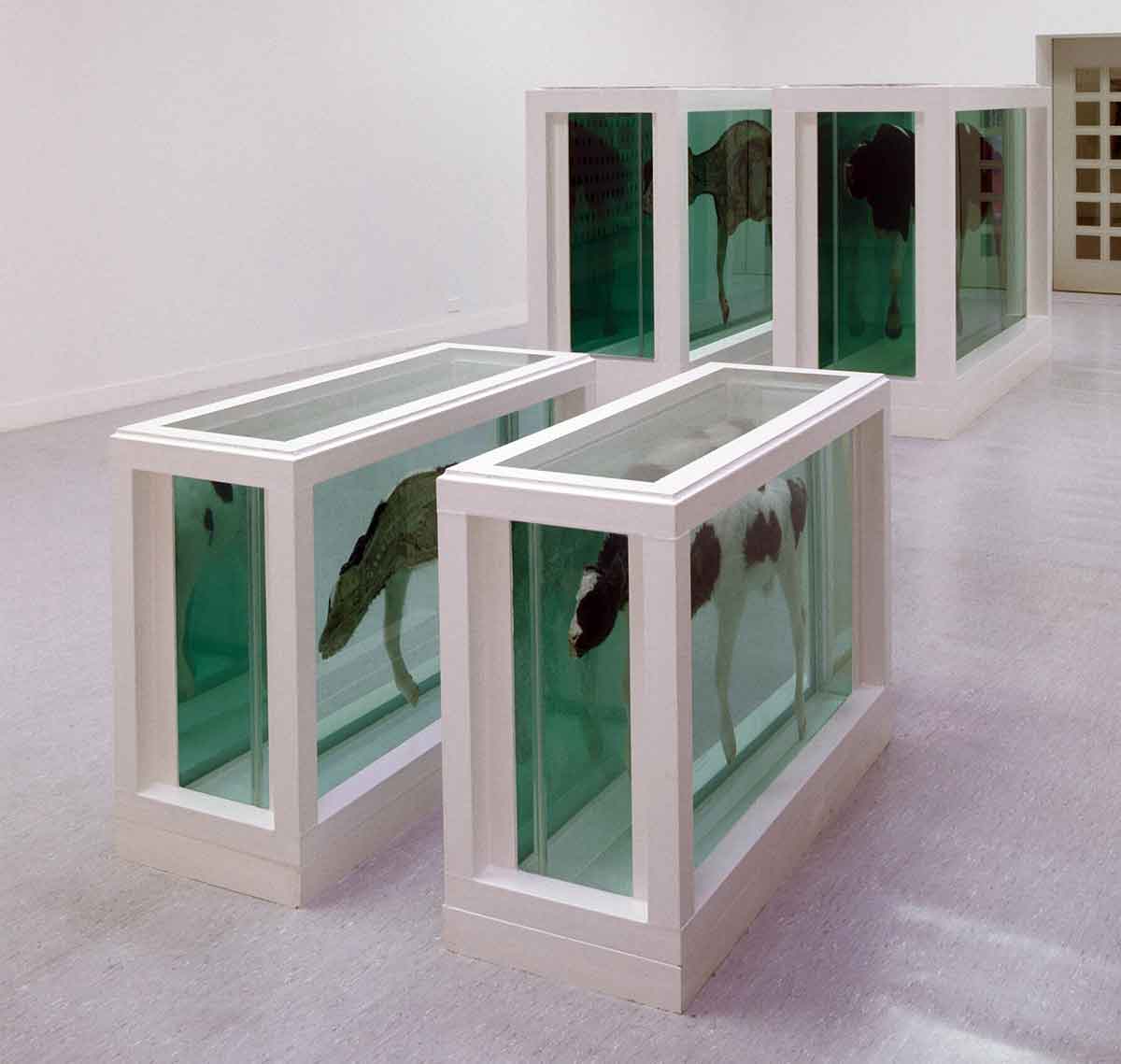 hirst mother child