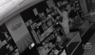 Winnipeg store owner out tens of thousands of dollars after Pokémon card theft – CP24