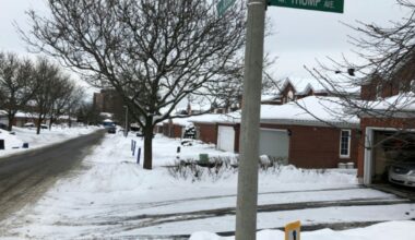 Canadian capital to rename 'Trump Ave'