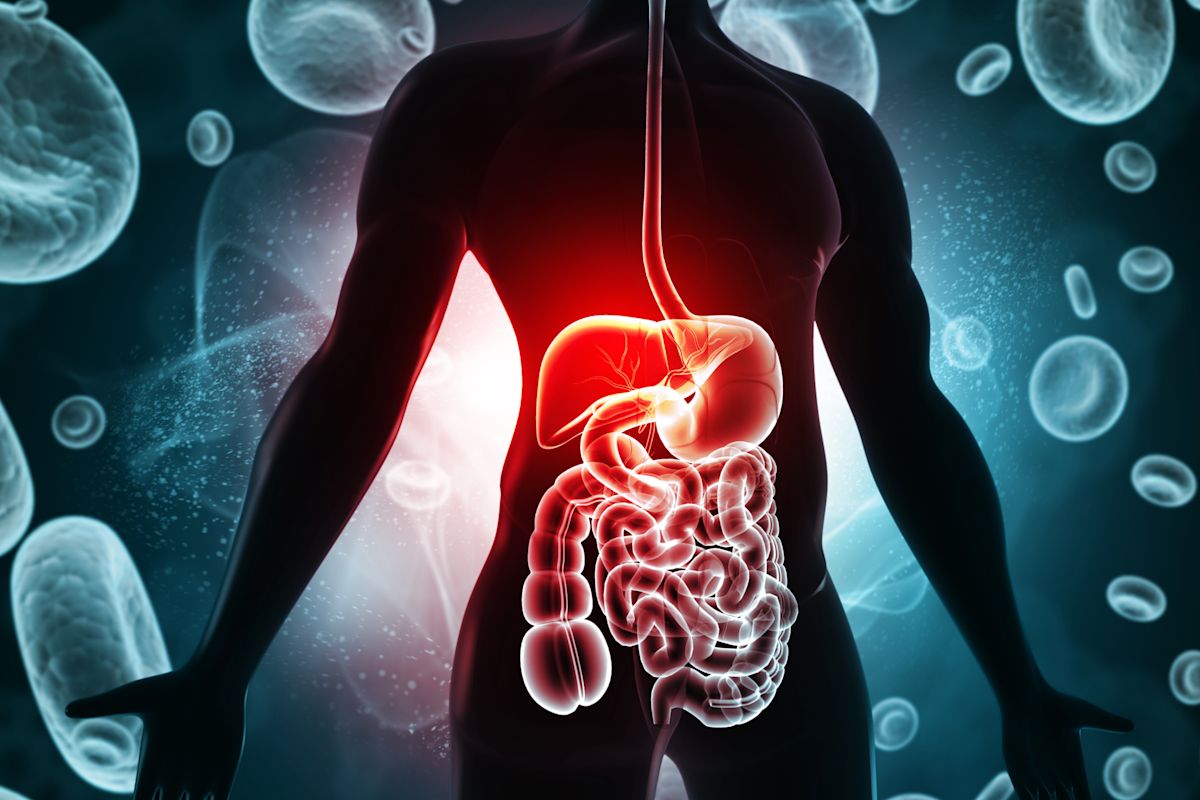 Common food additive may make you absorb more fat
