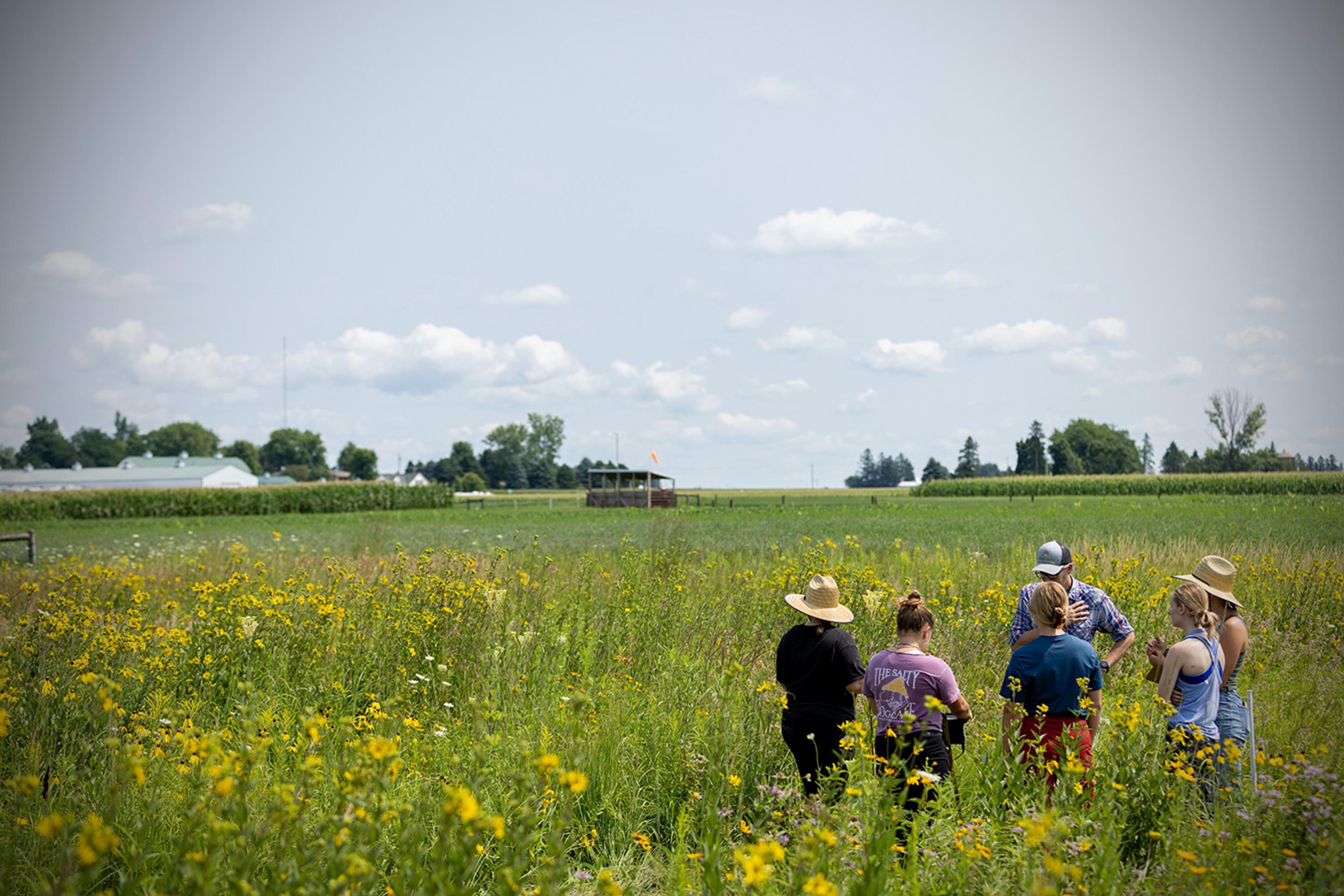 People in a field with yellow flowers under a cloudy sky, talking and wearing casual clothes and hats, trees in distance.
