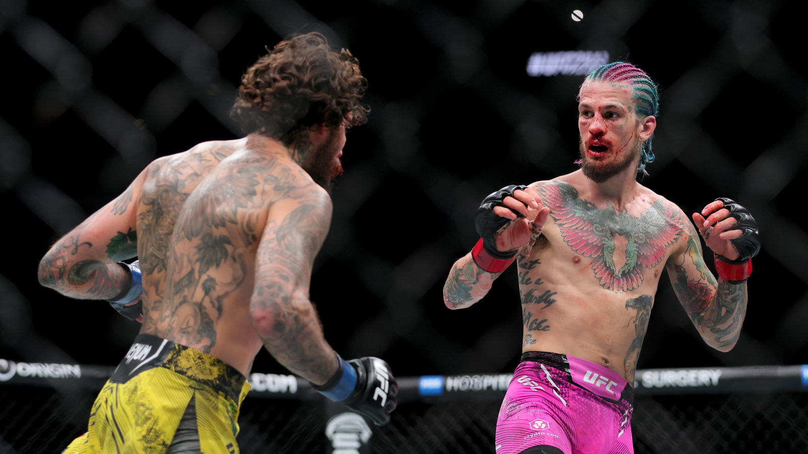 Vera Parts Ways With Coach Parillo After Four-Fight Skid