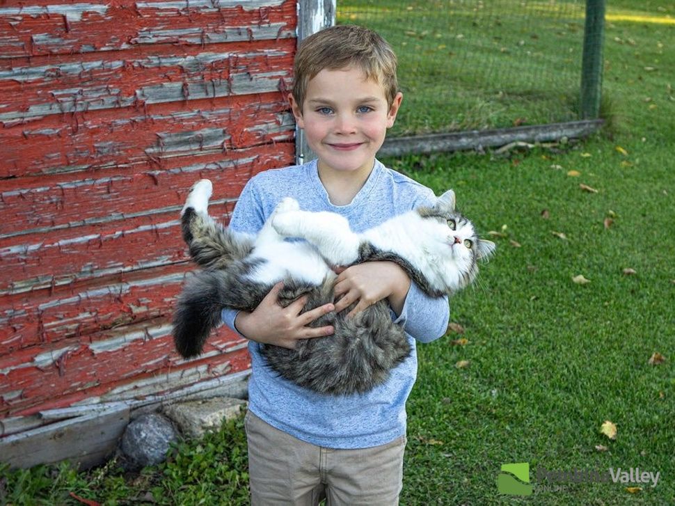 Maverick holding a cat outside.
