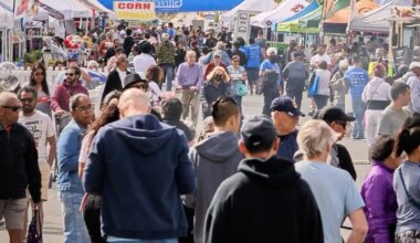 Massive street food festival returns to Mississauga’s Cooksville