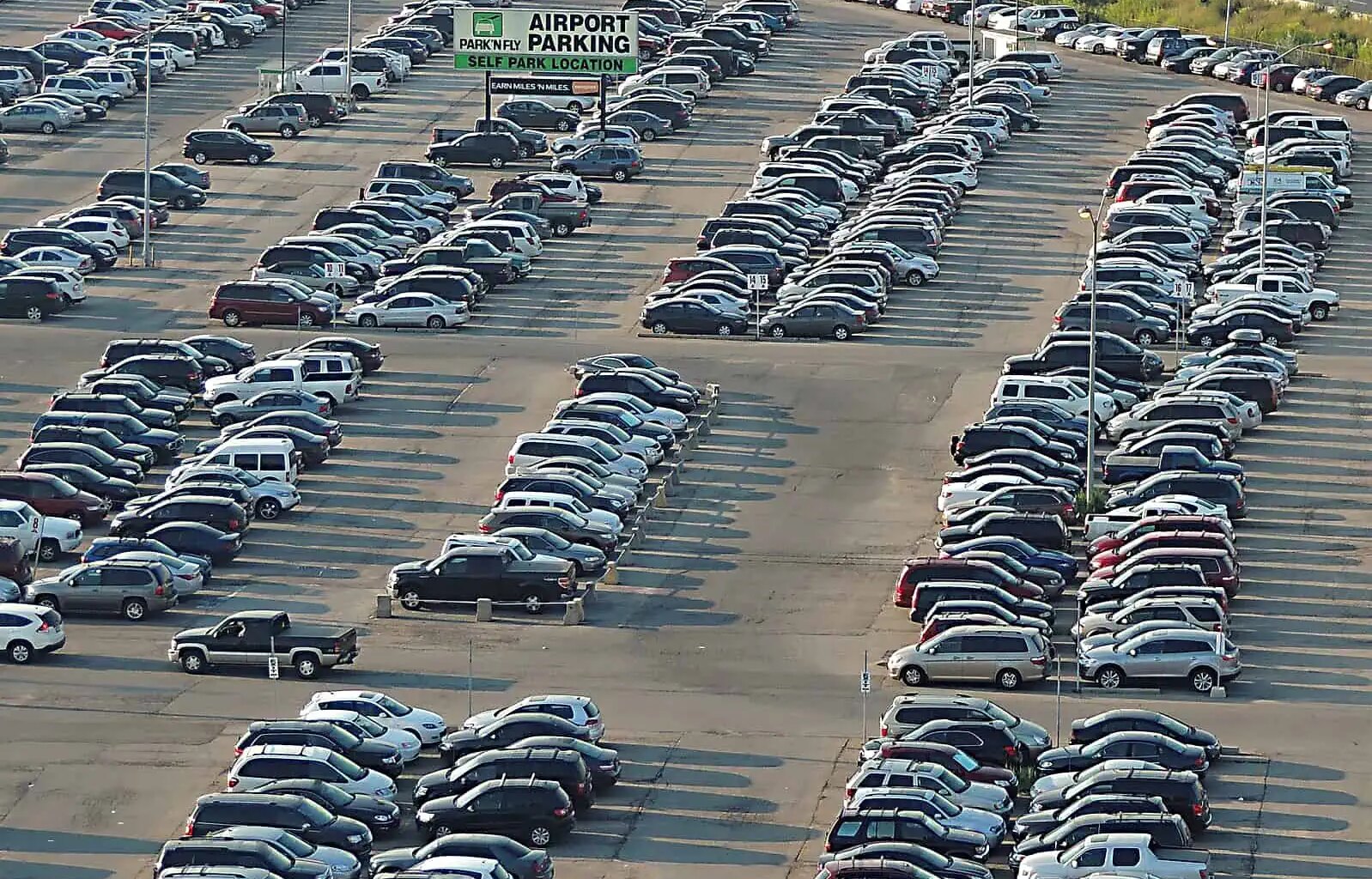 Most of the 300 vehicles reported stolen in Peel last month taken from Mississauga