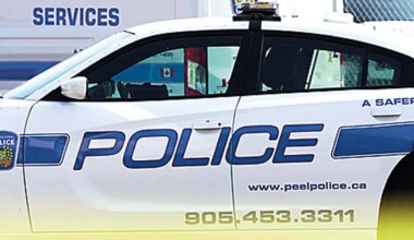 pedestrain hit brampton