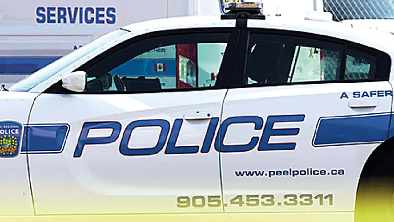 pedestrain hit brampton