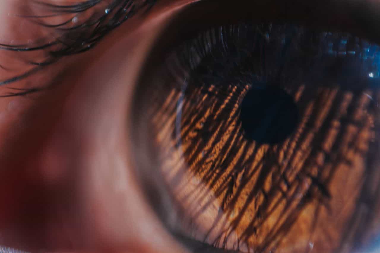 Scientists Tracked Children’s Pupils and Found a Subtle Flickr of ADHD