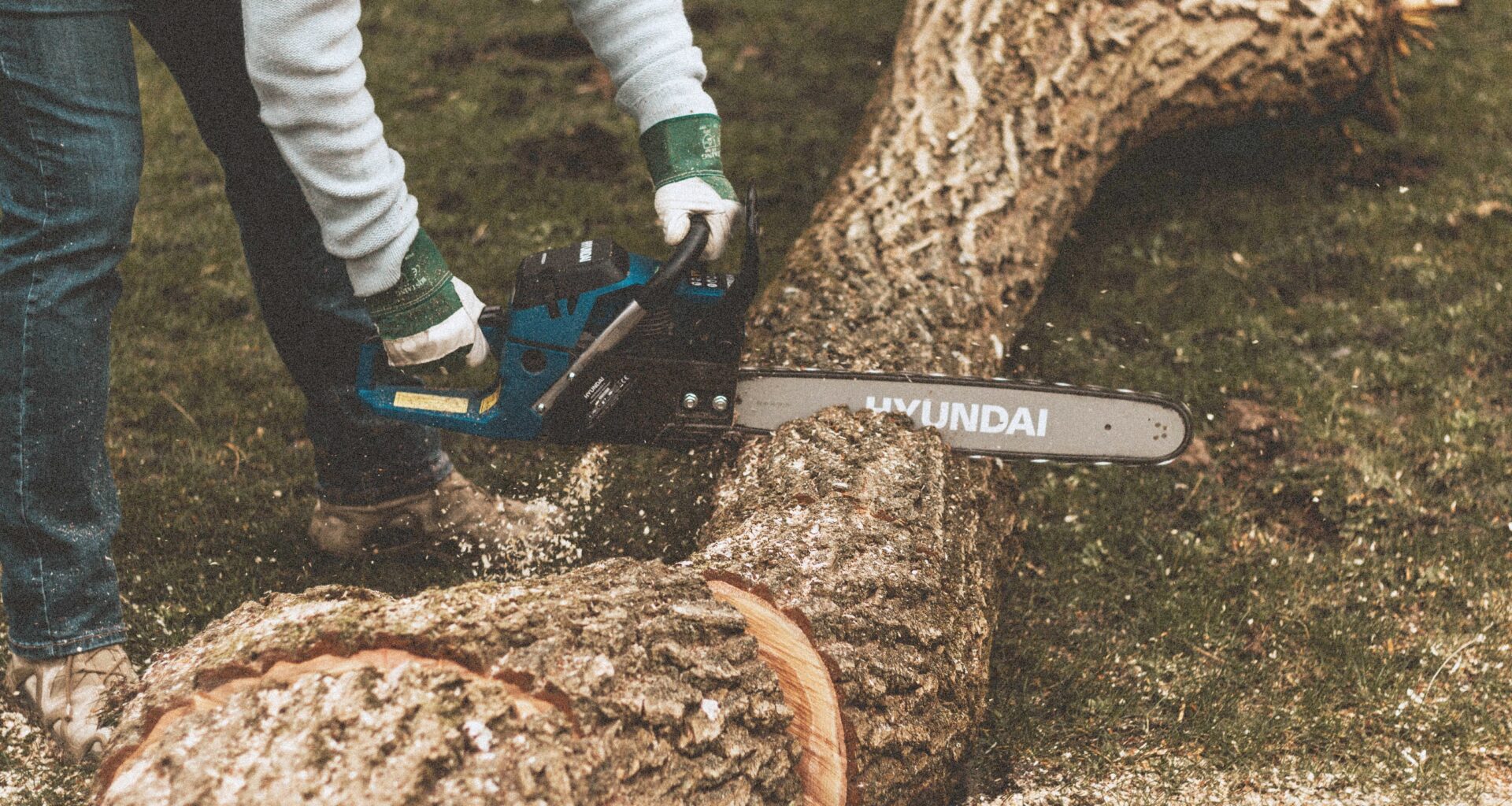 A person with a chainsaw cuts through a log.