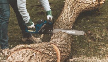 A person with a chainsaw cuts through a log.