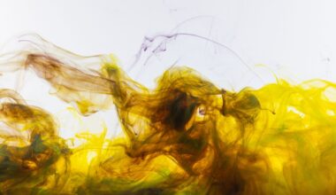 Venus looks pale yellow from space, but modelling suggests that if the liquid inside its cloud droplets were collected into a container, it could appear almost black—the unidentified absorber must be extraordinarily powerful, highly concentrated, or both.