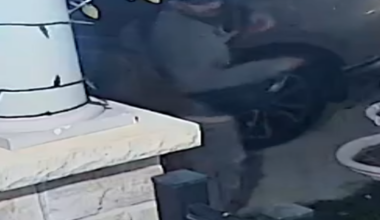 Suspect Wanted in a Stabbing and Several Attempted Car Jackings in Brampton