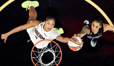 Which WNBA players have the most rebounds in a game?