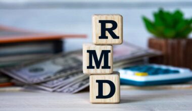 RMD (Required Minimum Distribution) - Abbreviation for wooden cubes on the background of a folder, cactus and banknotes. Business concept