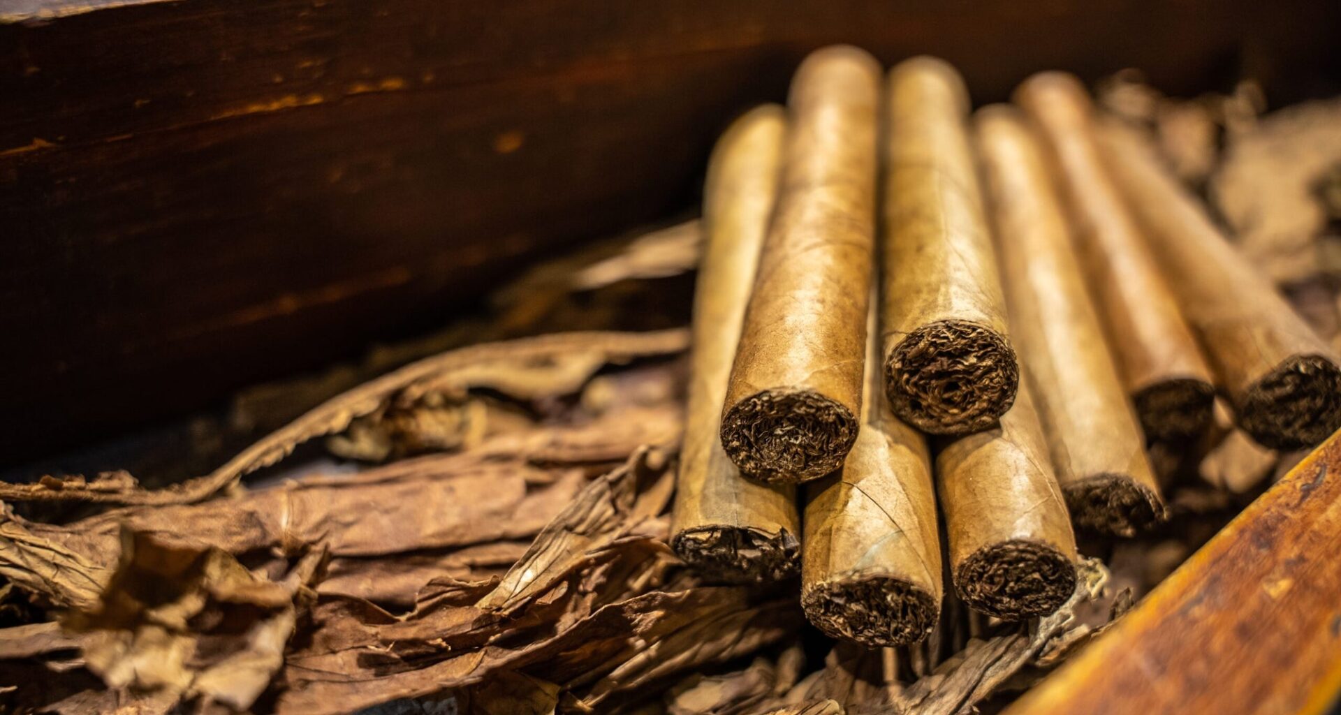 Scientists learn how tobacco plants make nicotine: could lead to new low-nicotine strains