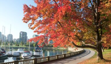 Vancouver weather: Will fall be warmer, drier than normal?