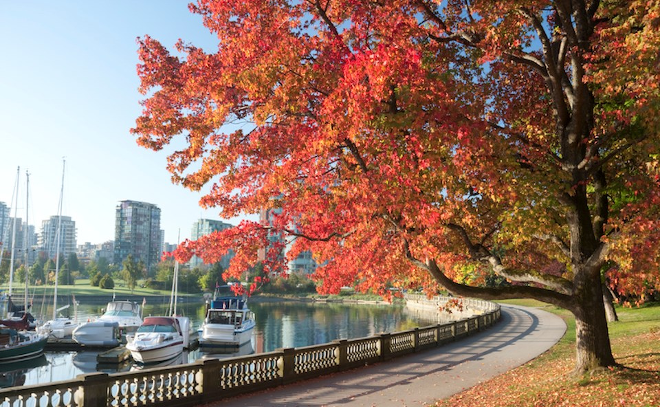 Vancouver weather: Will fall be warmer, drier than normal?