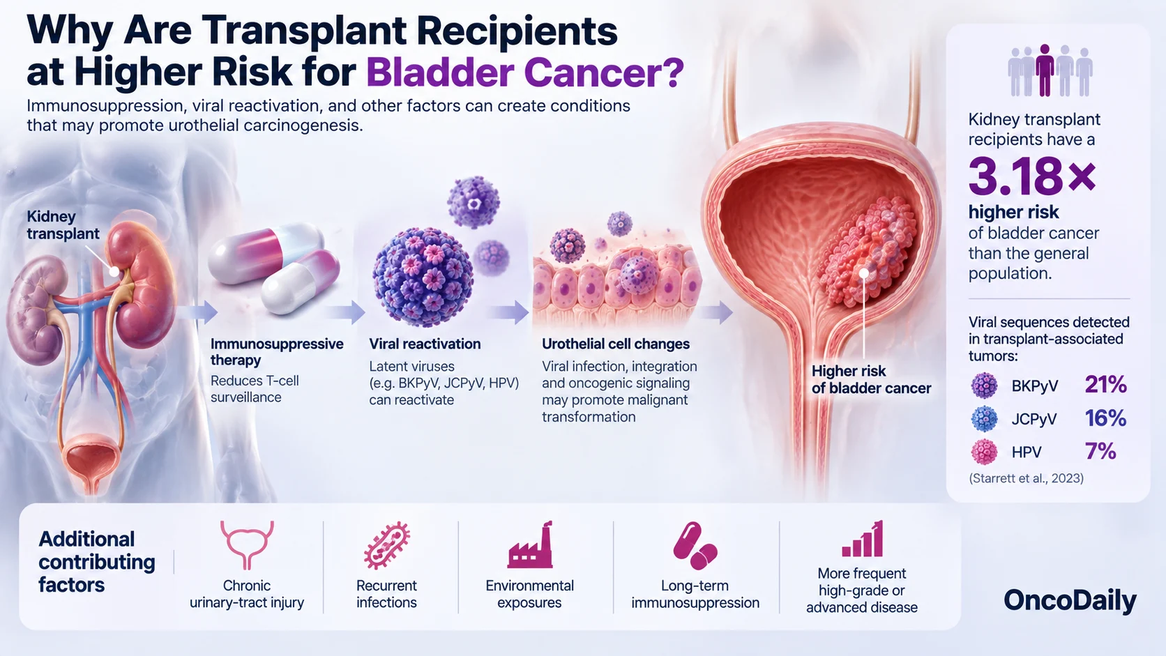 The Viral Side of Bladder Cancer: BK Polyomavirus, HPV, and Urothelial Carcinoma 6 The Viral Side of Bladder Cancer: BK Polyomavirus, HPV, and Urothelial Carcinoma