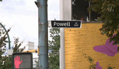 Dog killed in hit-and-run in Vancouver