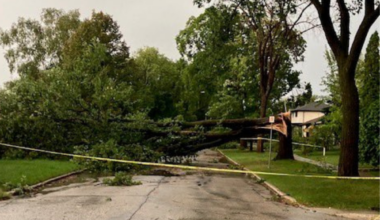 Storm leaves thousands without power, floods parts of Winnipeg