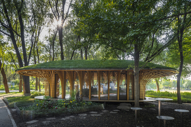 West Garden Florist / LUO studio - Exterior Photography, Wood, Garden