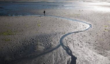 THROUGH YOUR LENS: Readers share images of White Rock, Surrey